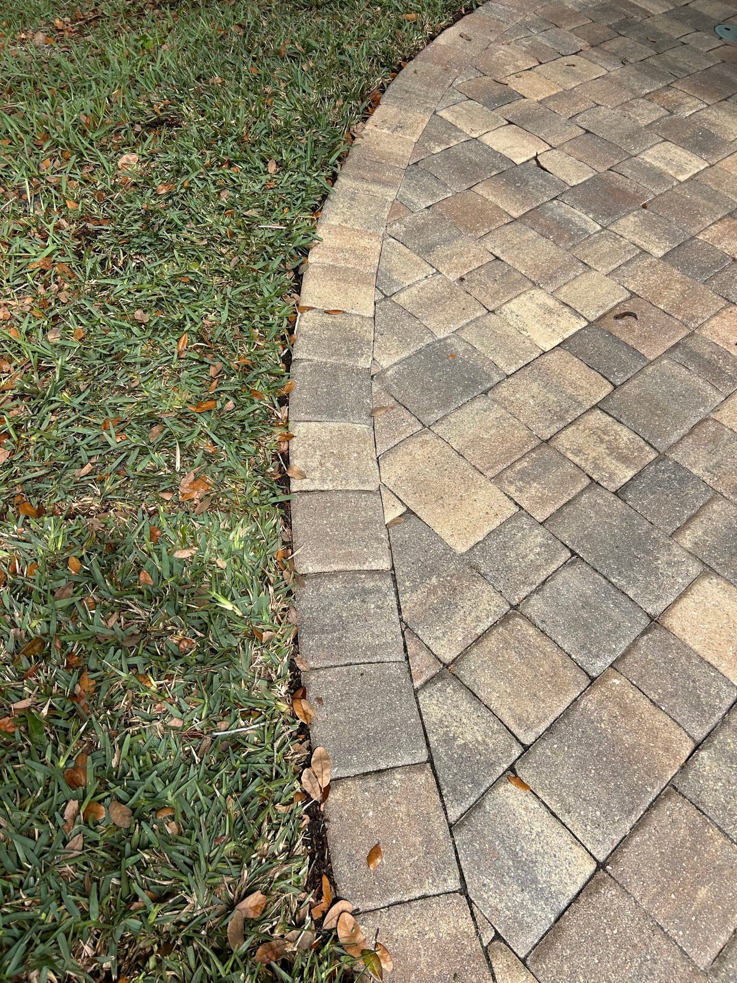 Curved paver edge meeting fresh lawn — paver work by Atlantic Exteriors in Brevard County, FL