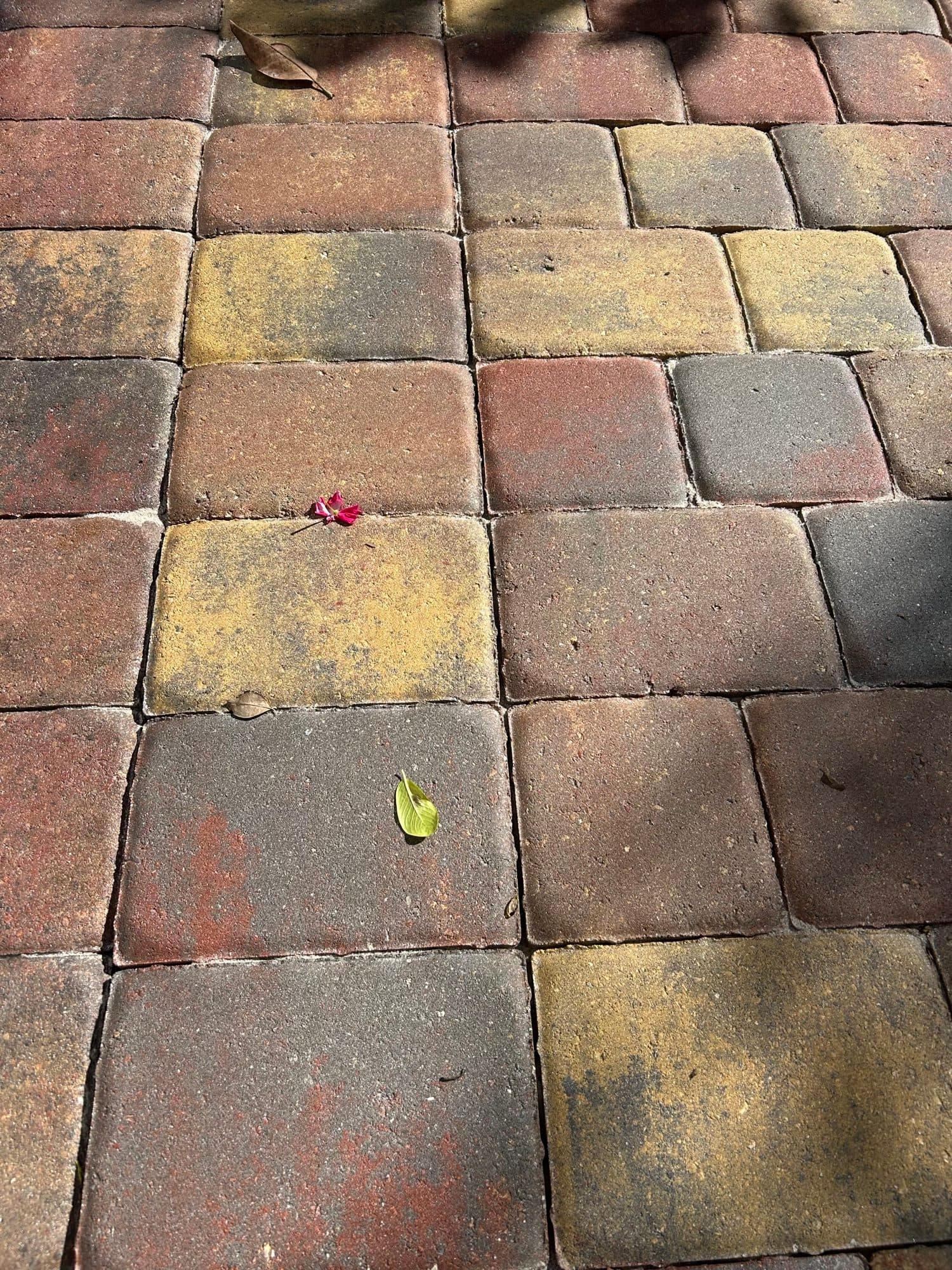 Multi-color paver close-up — paver work by Atlantic Exteriors in Brevard County, FL