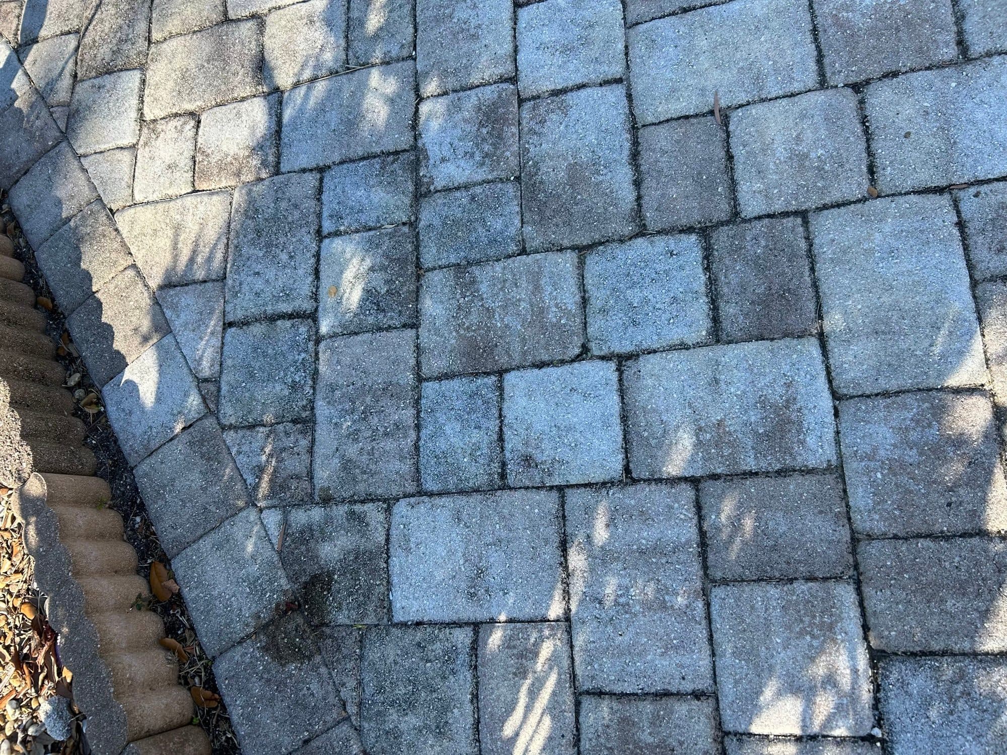 Damp gray pavers in dappled shade — paver work by Atlantic Exteriors in Brevard County, FL