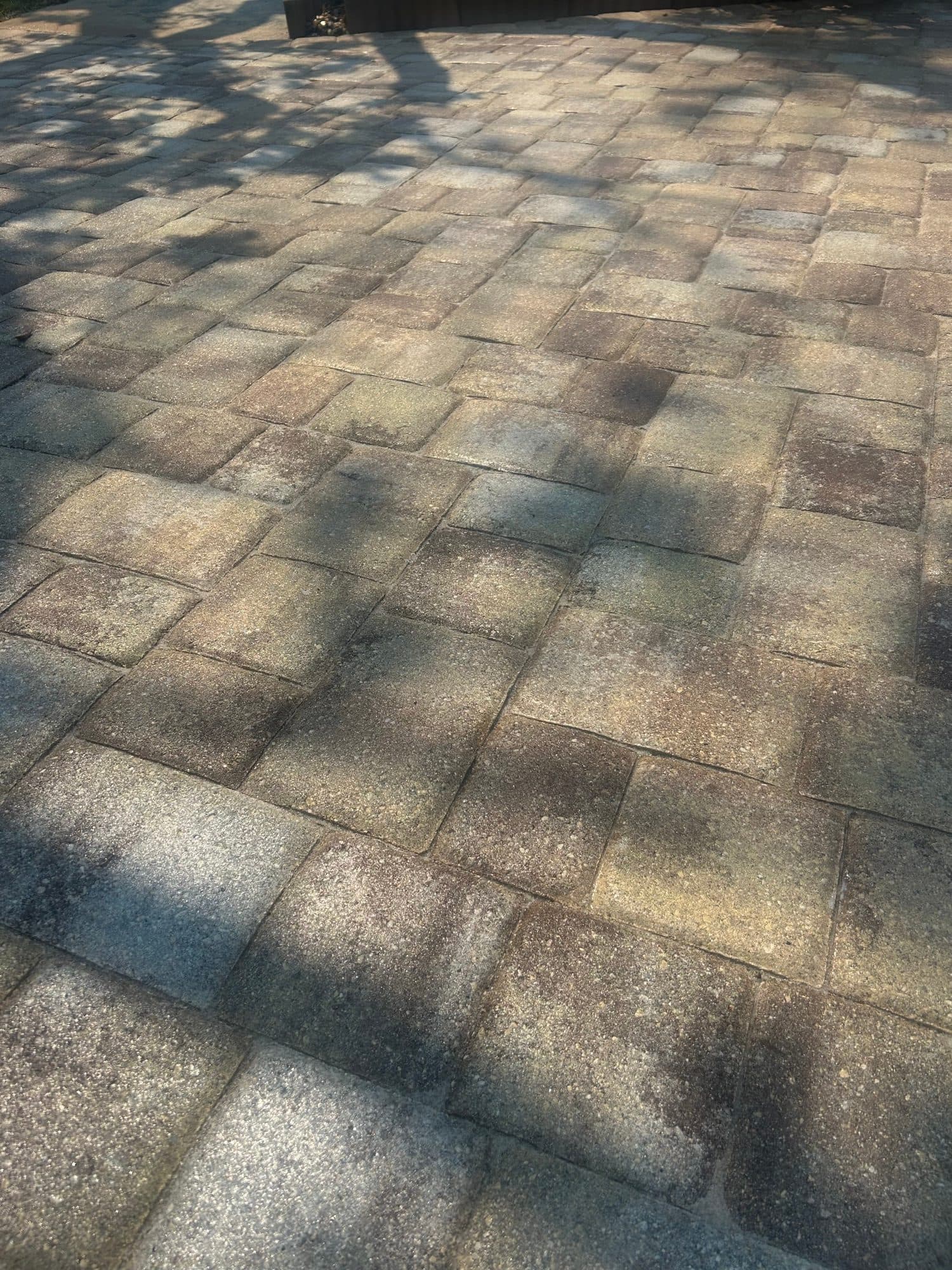 Square pavers under tree shadows — paver work by Atlantic Exteriors in Brevard County, FL